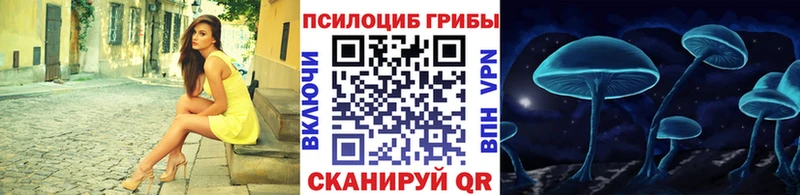 Псилоцибиновые грибы мицелий  купить наркотик  Муравленко 