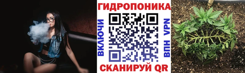 Канабис OG Kush Муравленко